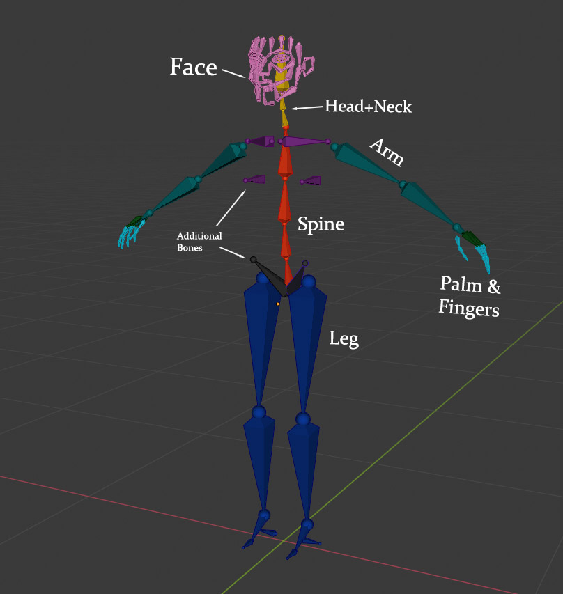 a rigify meta-rig and its components / rig-types