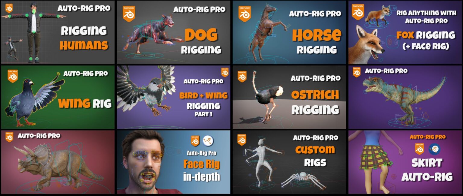 Blender Rigging: A Complete Learning Path | CGDive